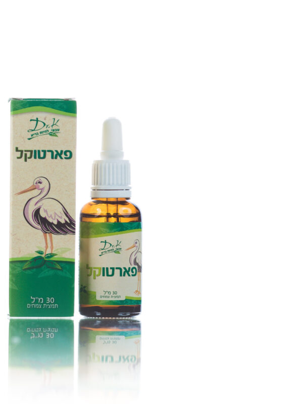 פארטוקל- לקראת לידה