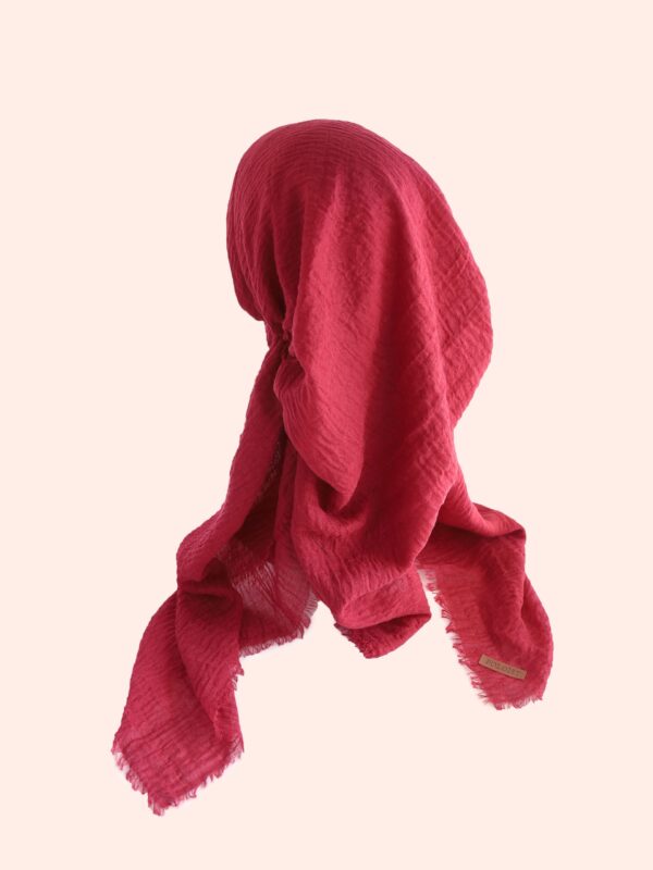 דגם טטרה-אדום/בורדו