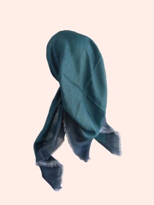 דגם מסגרת-פטרול