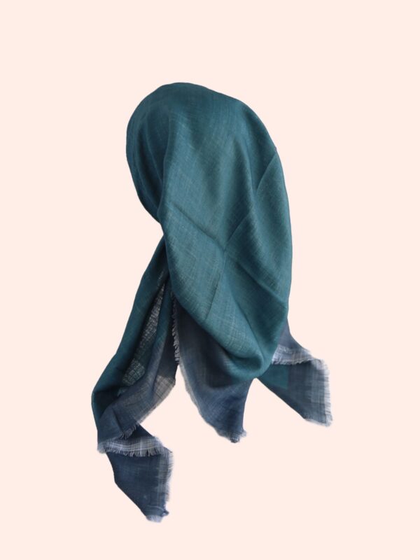 דגם מסגרת-פטרול